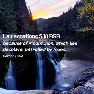 Picture 02 - Lamentations 5:18 BSB - because of Mount Zion, which lies desolate, - Bible Verse Picture