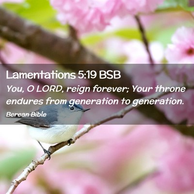 Picture 02 - Lamentations 5:19 BSB - You, O LORD, reign forever; Your throne endures - Bible Verse Picture