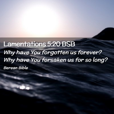 Picture 02 - Lamentations 5:20 BSB - Why have You forgotten us forever? Why have You - Bible Verse Picture