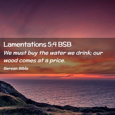 Picture 02 - Lamentations 5:4 BSB - We must buy the water we drink; our wood comes at - Bible Verse Picture
