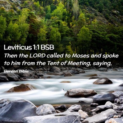 Picture 02 - Leviticus 1:1 BSB - Then the LORD called to Moses and spoke to him - Bible Verse Picture