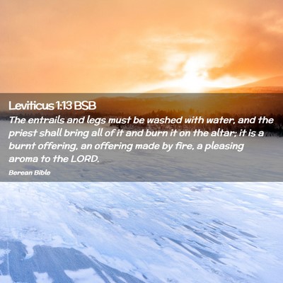 Picture 02 - Leviticus 1:13 BSB - The entrails and legs must be washed with water, - Bible Verse Picture