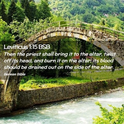 Picture 02 - Leviticus 1:15 BSB - Then the priest shall bring it to the altar, - Bible Verse Picture