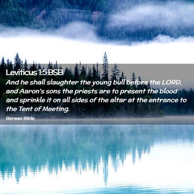 Picture 02 - Leviticus 1:5 BSB - And he shall slaughter the young bull before the - Bible Verse Picture