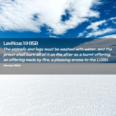 Picture 02 - Leviticus 1:9 BSB - The entrails and legs must be washed with water, - Bible Verse Picture