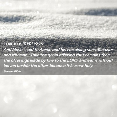 Picture 02 - Leviticus 10:12 BSB - And Moses said to Aaron and his remaining sons, - Bible Verse Picture