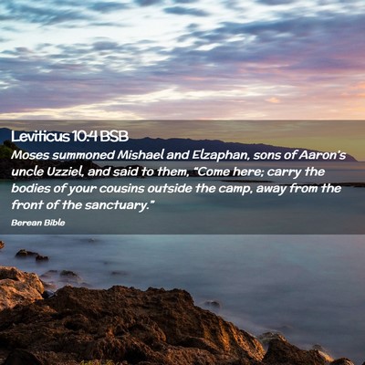 Picture 02 - Leviticus 10:4 BSB - Moses summoned Mishael and Elzaphan, sons of - Bible Verse Picture