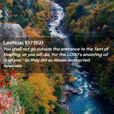 Picture 02 - Leviticus 10:7 BSB - You shall not go outside the entrance to the Tent - Bible Verse Picture