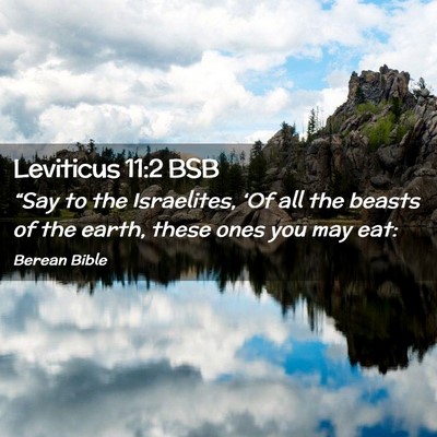 Picture 02 - Leviticus 11:2 BSB - “Say to the Israelites, ‘Of all the beasts of - Bible Verse Picture
