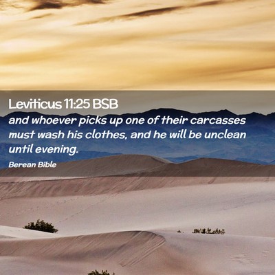 Picture 02 - Leviticus 11:25 BSB - and whoever picks up one of their carcasses must - Bible Verse Picture