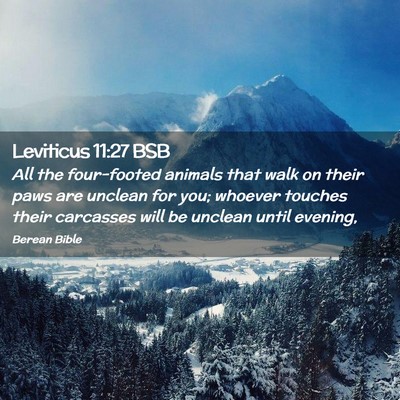 Picture 02 - Leviticus 11:27 BSB - All the four-footed animals that walk on their - Bible Verse Picture
