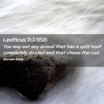 Picture 02 - Leviticus 11:3 BSB - You may eat any animal that has a split hoof - Bible Verse Picture
