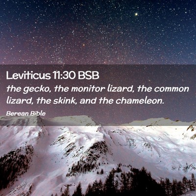 Picture 02 - Leviticus 11:30 BSB - the gecko, the monitor lizard, the common lizard, - Bible Verse Picture