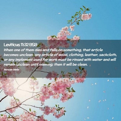 Picture 02 - Leviticus 11:32 BSB - When one of them dies and falls on something, - Bible Verse Picture