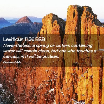Picture 02 - Leviticus 11:36 BSB - Nevertheless, a spring or cistern containing - Bible Verse Picture