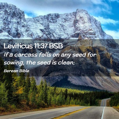 Picture 02 - Leviticus 11:37 BSB - If a carcass falls on any seed for sowing, the - Bible Verse Picture