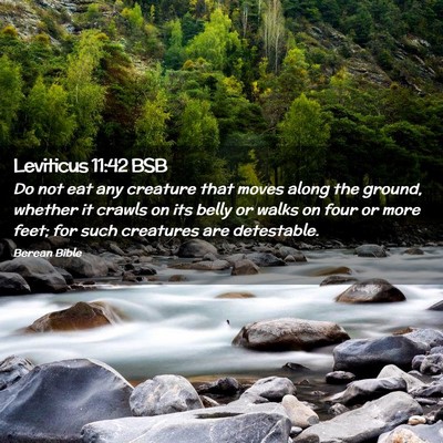 Picture 02 - Leviticus 11:42 BSB - Do not eat any creature that moves along the - Bible Verse Picture