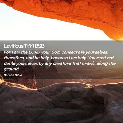 Picture 02 - Leviticus 11:44 BSB - For I am the LORD your God; consecrate - Bible Verse Picture
