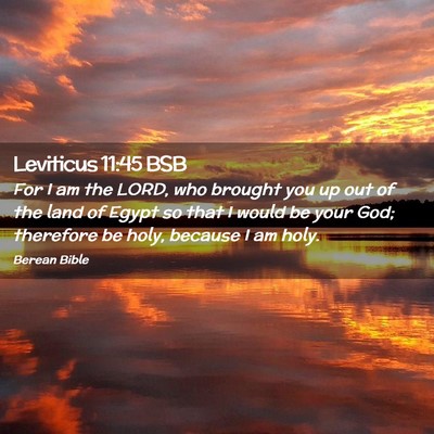 Picture 02 - Leviticus 11:45 BSB - For I am the LORD, who brought you up out of the - Bible Verse Picture