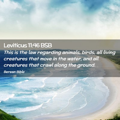 Picture 02 - Leviticus 11:46 BSB - This is the law regarding animals, birds, all - Bible Verse Picture