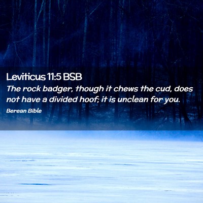 Picture 02 - Leviticus 11:5 BSB - The rock badger, though it chews the cud, does - Bible Verse Picture