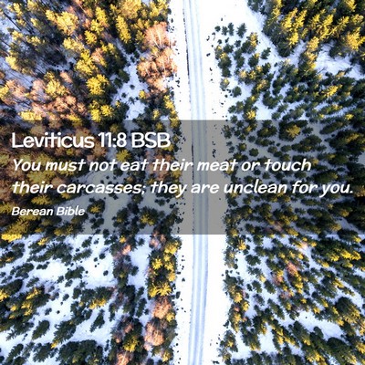 Picture 02 - Leviticus 11:8 BSB - You must not eat their meat or touch their - Bible Verse Picture