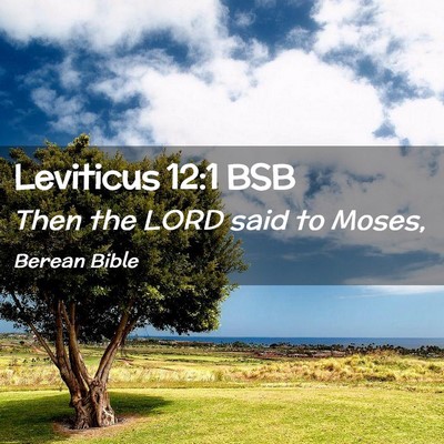 Picture 02 - Leviticus 12:1 BSB - Then the LORD said to - Bible Verse Picture