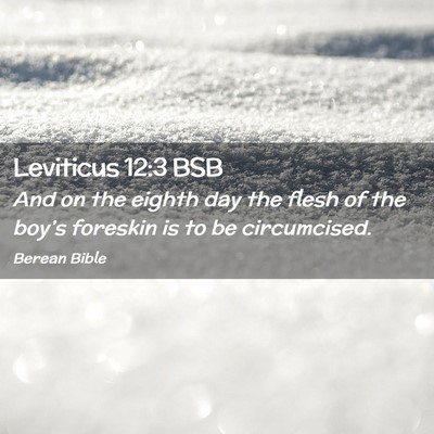 Picture 02 - Leviticus 12:3 BSB - And on the eighth day the flesh of the boy’s - Bible Verse Picture