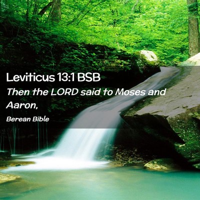 Picture 02 - Leviticus 13:1 BSB - Then the LORD said to Moses and - Bible Verse Picture