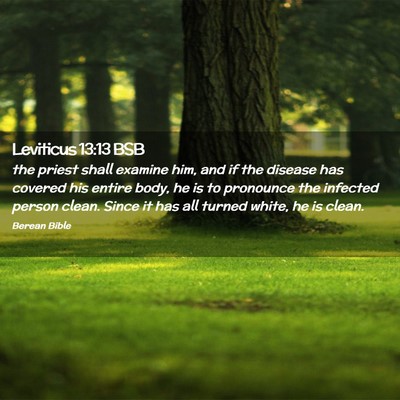 Picture 02 - Leviticus 13:13 BSB - the priest shall examine him, and if the disease - Bible Verse Picture