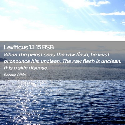 Picture 02 - Leviticus 13:15 BSB - When the priest sees the raw flesh, he must - Bible Verse Picture