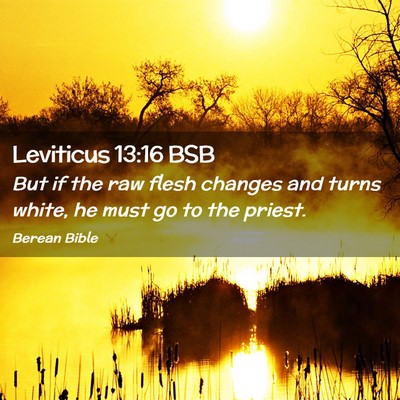 Picture 02 - Leviticus 13:16 BSB - But if the raw flesh changes and turns white, he - Bible Verse Picture