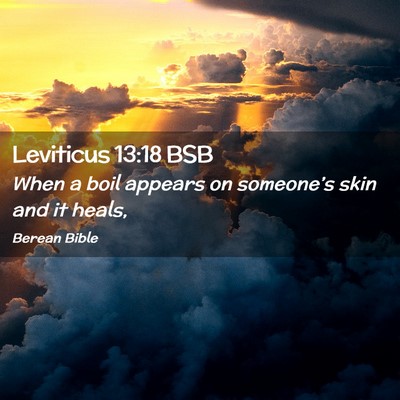 Picture 02 - Leviticus 13:18 BSB - When a boil appears on someone’s skin and it - Bible Verse Picture