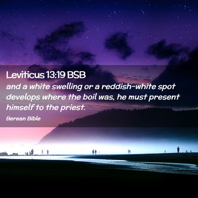 Picture 02 - Leviticus 13:19 BSB - and a white swelling or a reddish-white spot - Bible Verse Picture