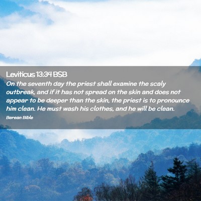 Picture 02 - Leviticus 13:34 BSB - On the seventh day the priest shall examine the - Bible Verse Picture
