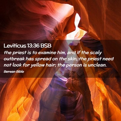 Picture 02 - Leviticus 13:36 BSB - the priest is to examine him, and if the scaly - Bible Verse Picture