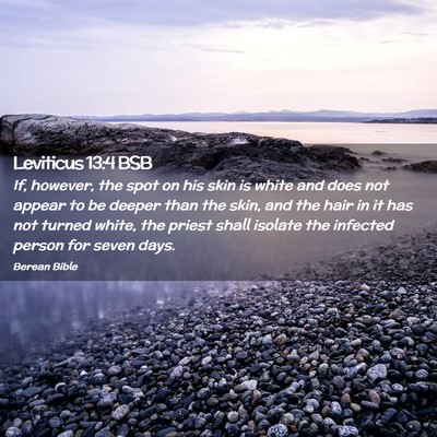 Picture 02 - Leviticus 13:4 BSB - If, however, the spot on his skin is white and - Bible Verse Picture
