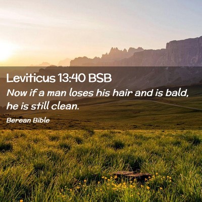 Picture 02 - Leviticus 13:40 BSB - Now if a man loses his hair and is bald, he is - Bible Verse Picture