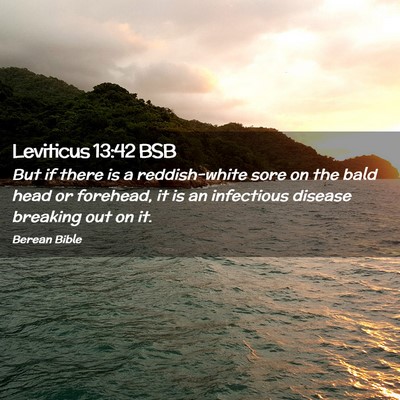 Picture 02 - Leviticus 13:42 BSB - But if there is a reddish-white sore on the bald - Bible Verse Picture