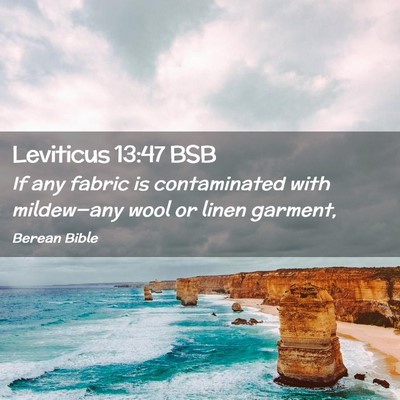 Picture 02 - Leviticus 13:47 BSB - If any fabric is contaminated with mildew—any - Bible Verse Picture