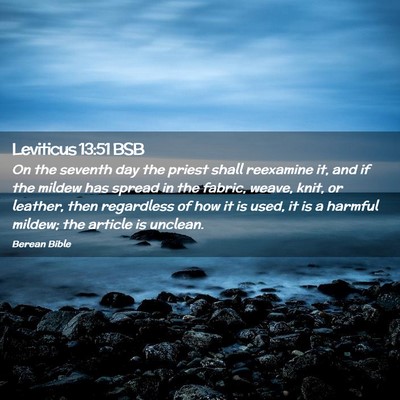 Picture 02 - Leviticus 13:51 BSB - On the seventh day the priest shall reexamine it, - Bible Verse Picture