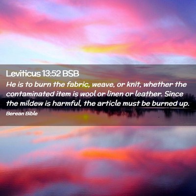 Picture 02 - Leviticus 13:52 BSB - He is to burn the fabric, weave, or knit, whether - Bible Verse Picture