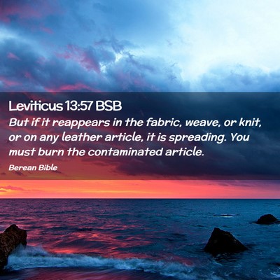 Picture 02 - Leviticus 13:57 BSB - But if it reappears in the fabric, weave, or - Bible Verse Picture