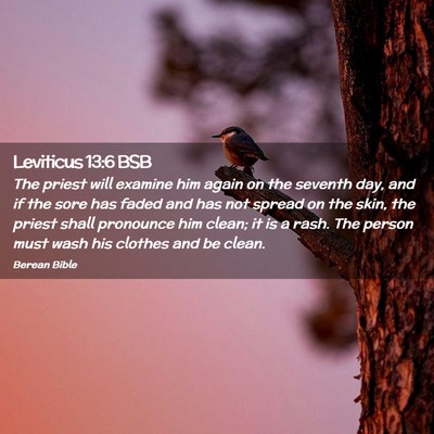 Picture 02 - Leviticus 13:6 BSB - The priest will examine him again on the seventh - Bible Verse Picture