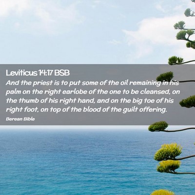 Picture 02 - Leviticus 14:17 BSB - And the priest is to put some of the oil - Bible Verse Picture