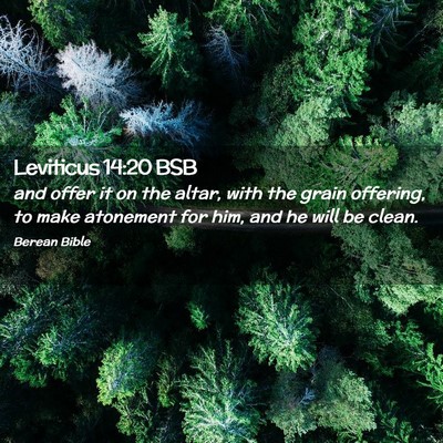 Picture 02 - Leviticus 14:20 BSB - and offer it on the altar, with the grain - Bible Verse Picture
