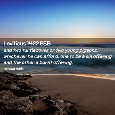 Picture 02 - Leviticus 14:22 BSB - and two turtledoves or two young pigeons, - Bible Verse Picture