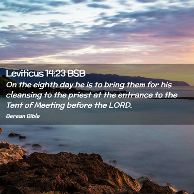 Picture 02 - Leviticus 14:23 BSB - On the eighth day he is to bring them for his - Bible Verse Picture