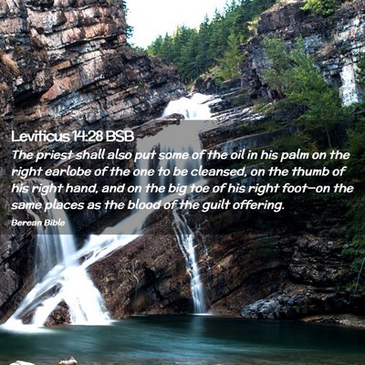 Picture 02 - Leviticus 14:28 BSB - The priest shall also put some of the oil in his - Bible Verse Picture
