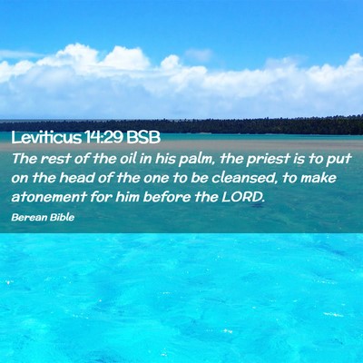 Picture 02 - Leviticus 14:29 BSB - The rest of the oil in his palm, the priest is to - Bible Verse Picture